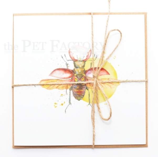 Square Card
